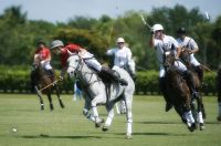 Grand Champions Polo Club 2013 Fall Season Countdown Begins