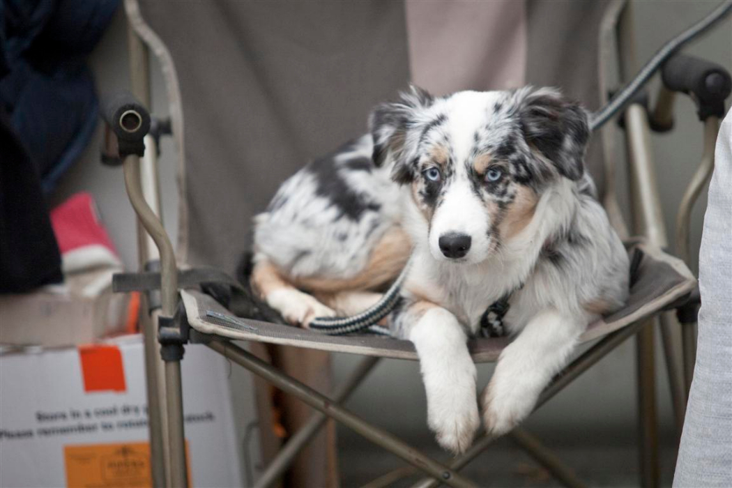 the polo magazine bmw polo masters polo photos of morgane defosse 2013 vendredi 25
