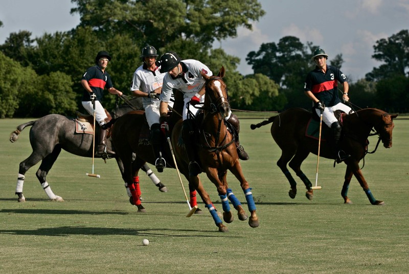 Oak Brook Polo Club Welcomes Jamaica  For “International Polo Series”  